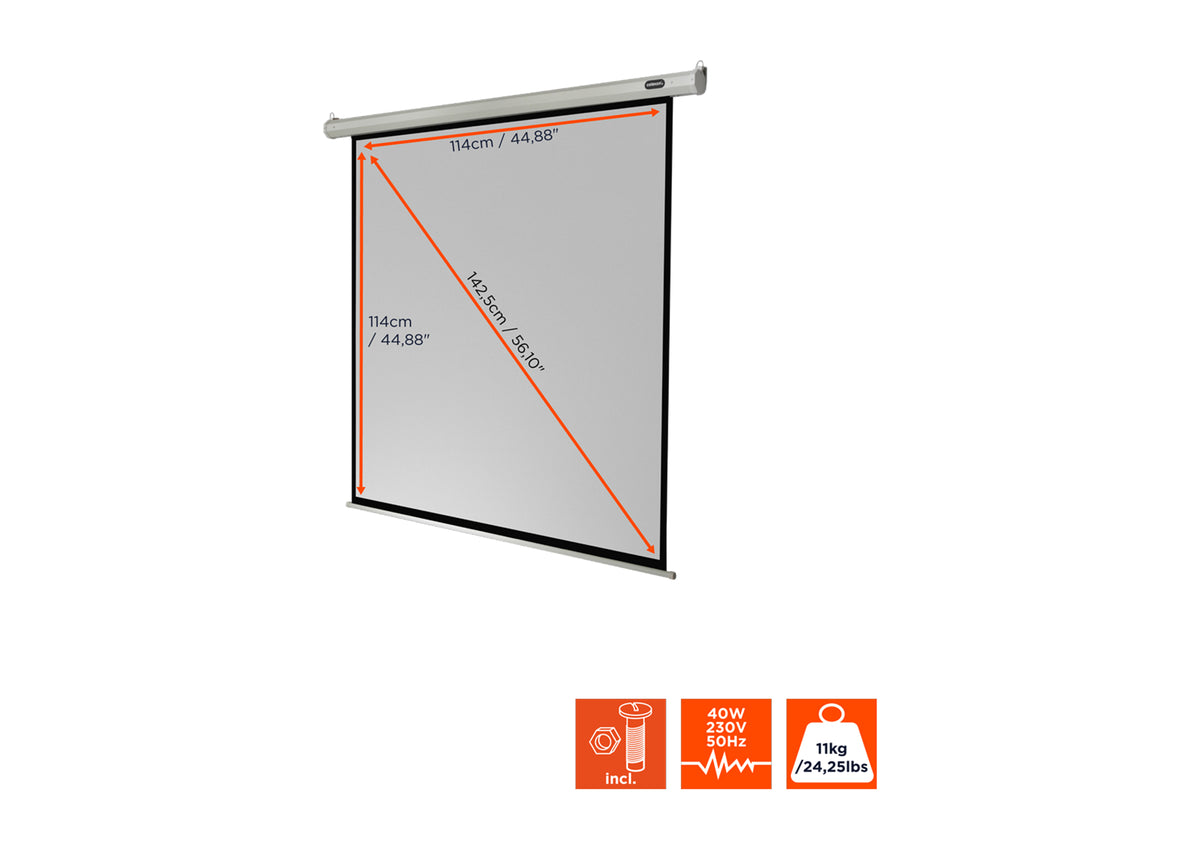 celexon Leinwand Motor Economy