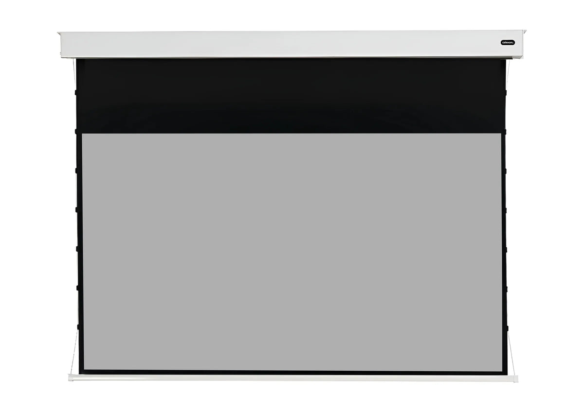 celexon Batterie Leinwand Motor Professional Plus Tension - Pearlstone