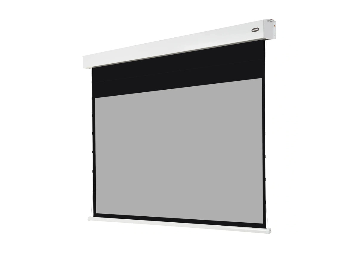 celexon Batterie Leinwand Motor Professional Plus Tension - Pearlstone