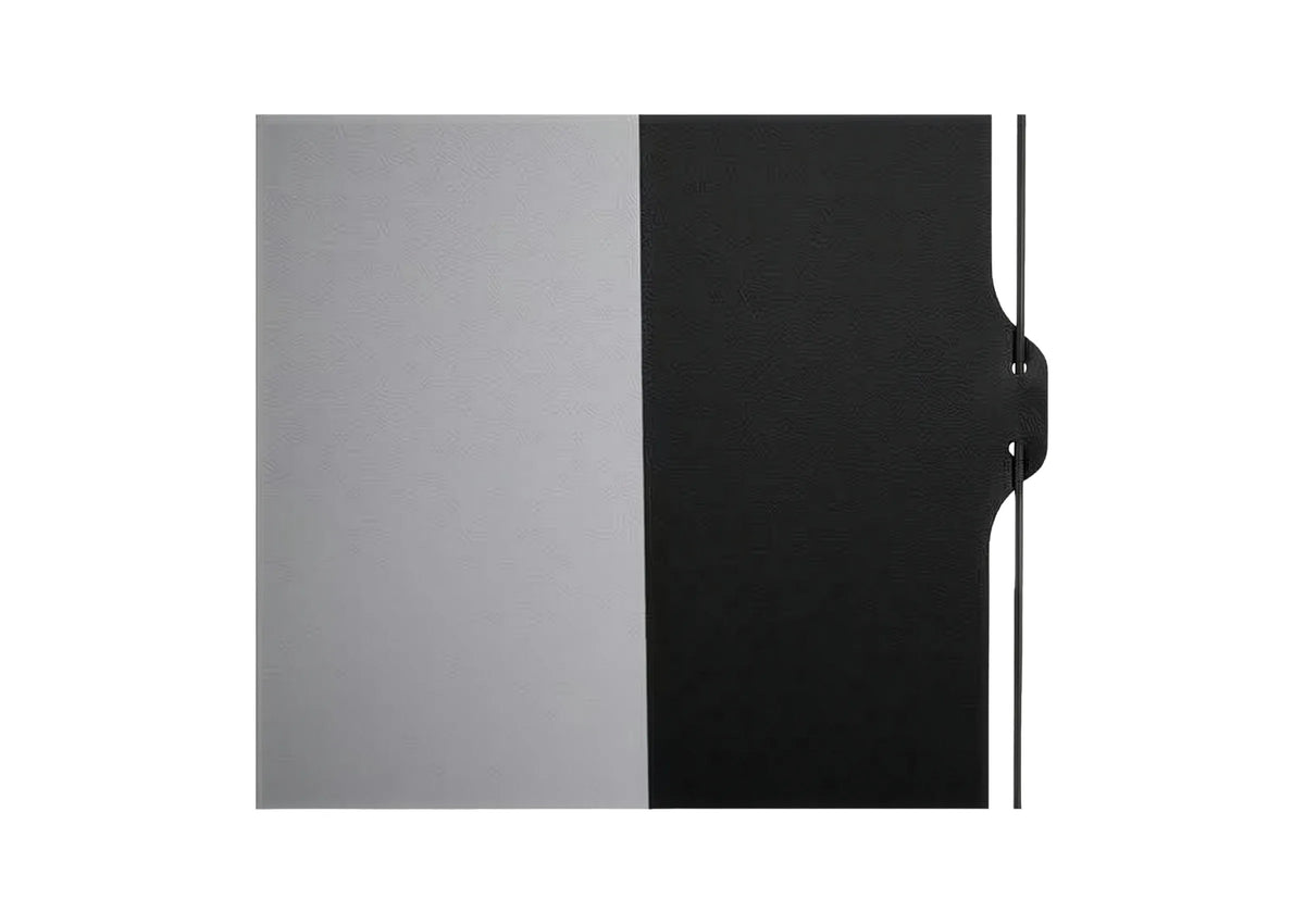 celexon Batterie Leinwand Motor Professional Plus Tension - Pearlstone