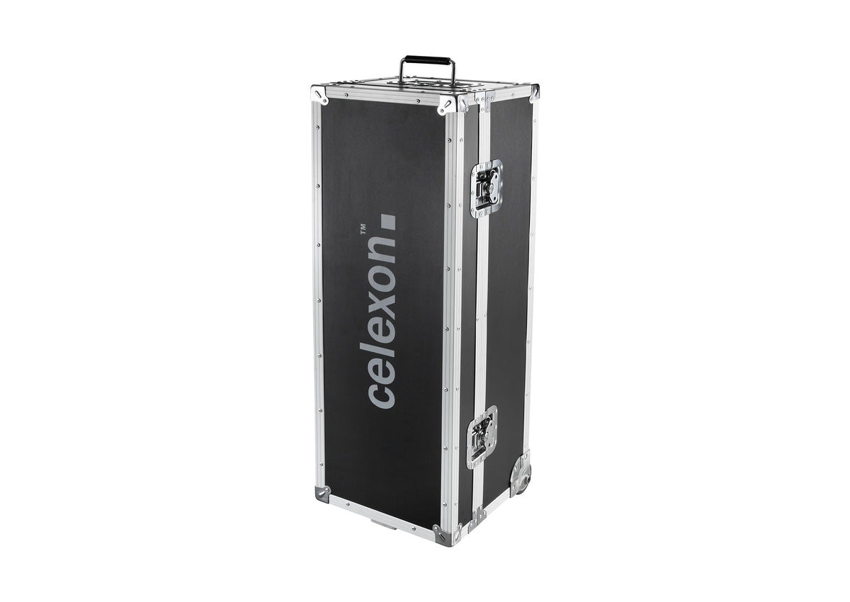 celexon Folding Frame Projector screen Transport case