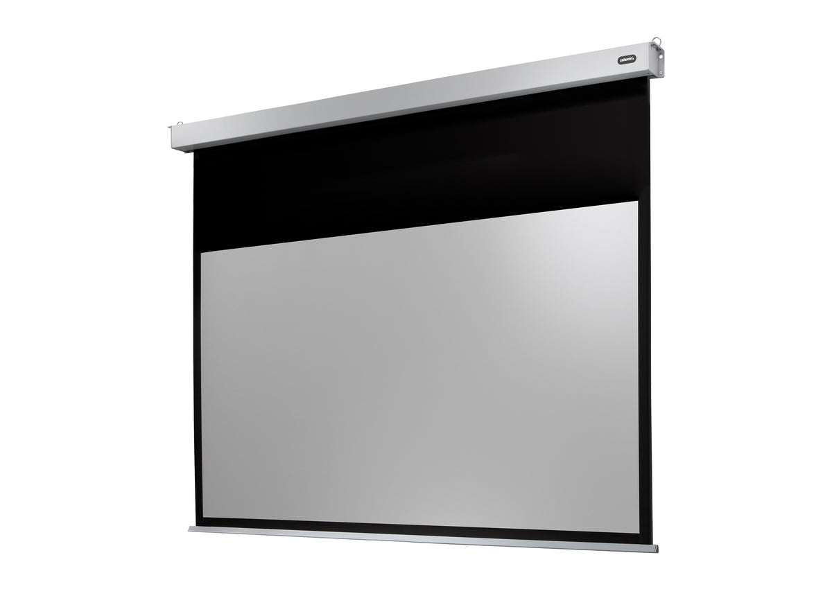 celexon Leinwand Motor Professional Plus