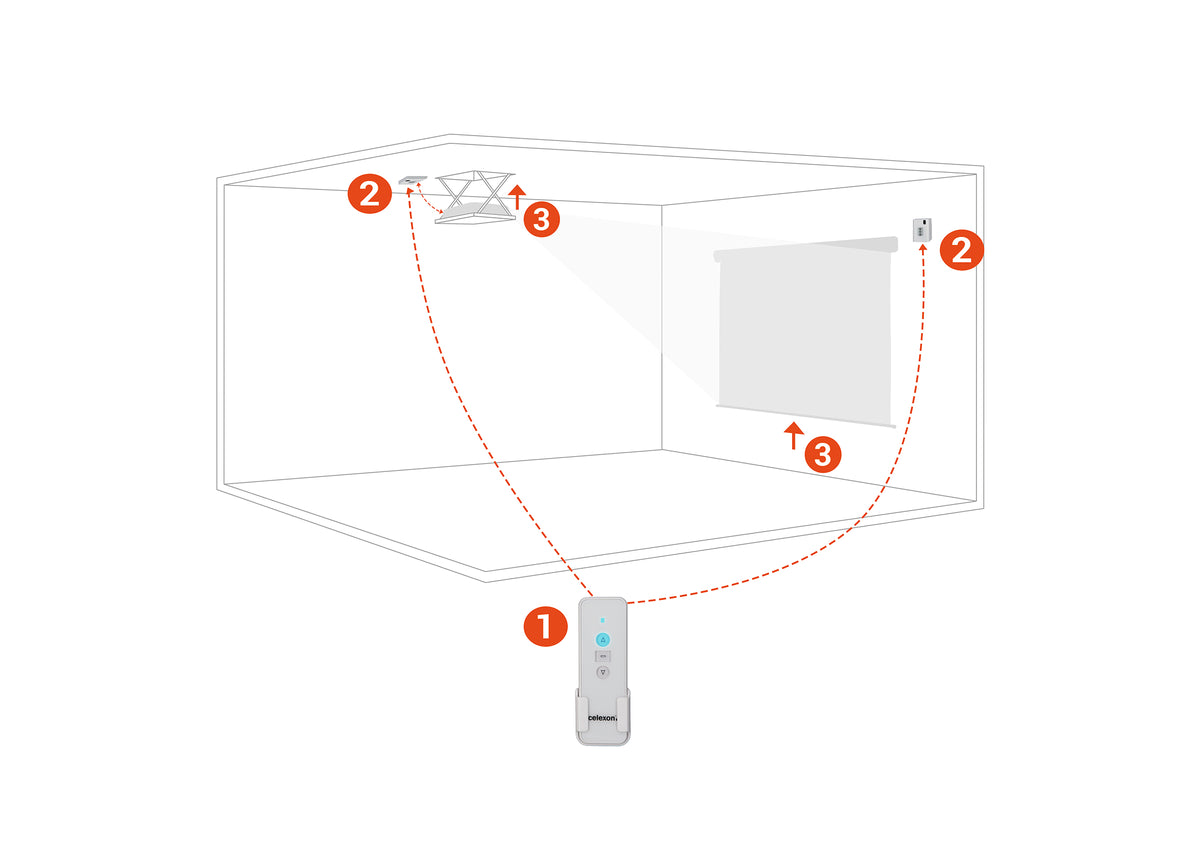 celexon Professional 2-Kanal Funkset