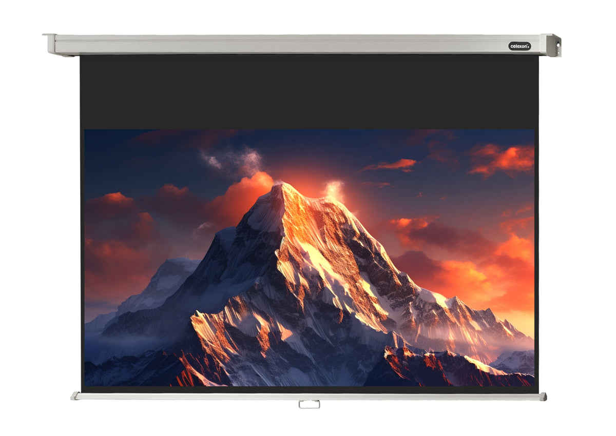 Frontal view of the celexon Projector screen Manual Professional with a projection showing a Icy mountain landscape