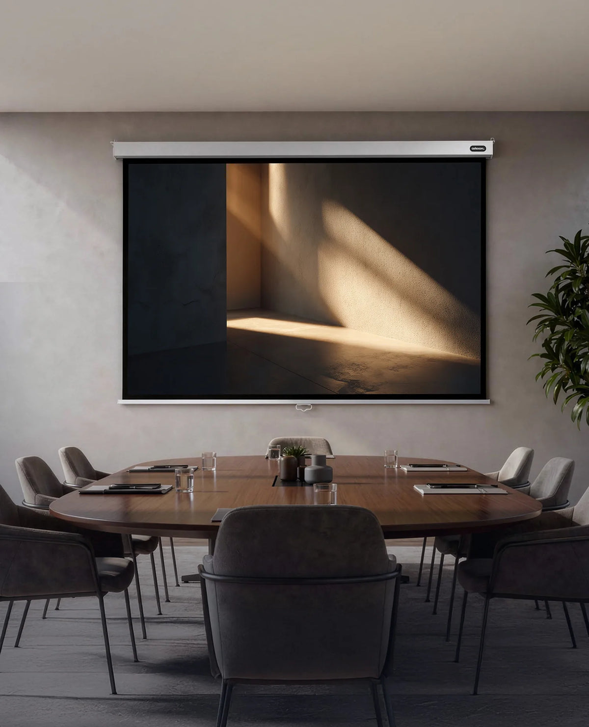 A modern conference room with a large wooden table, upholstered chairs, and floor-to-ceiling windows; mounted on the wall is a celexon Manual Professional Plus projector screen displaying a minimalist light-and-shadow motif, alongside a tall indoor plant and a city view.