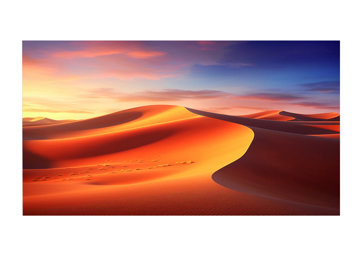 Frontal view of the celexon Expert Fixed Frame Projector screen PureWhite showing a projection of a desert landscape format 16-10