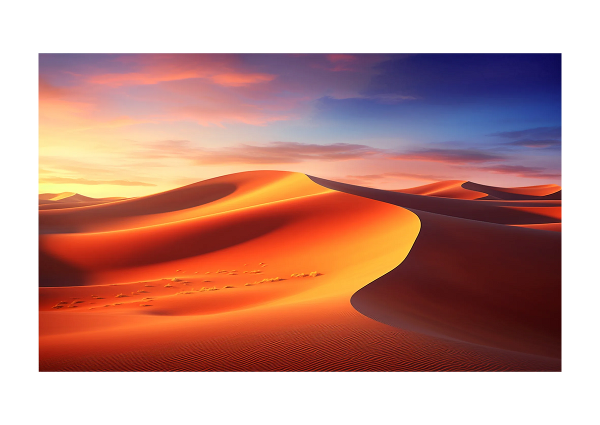 Frontal view of the celexon Expert Fixed Frame Projector screen PureWhite showing a projection of a desert landscape format 16-9