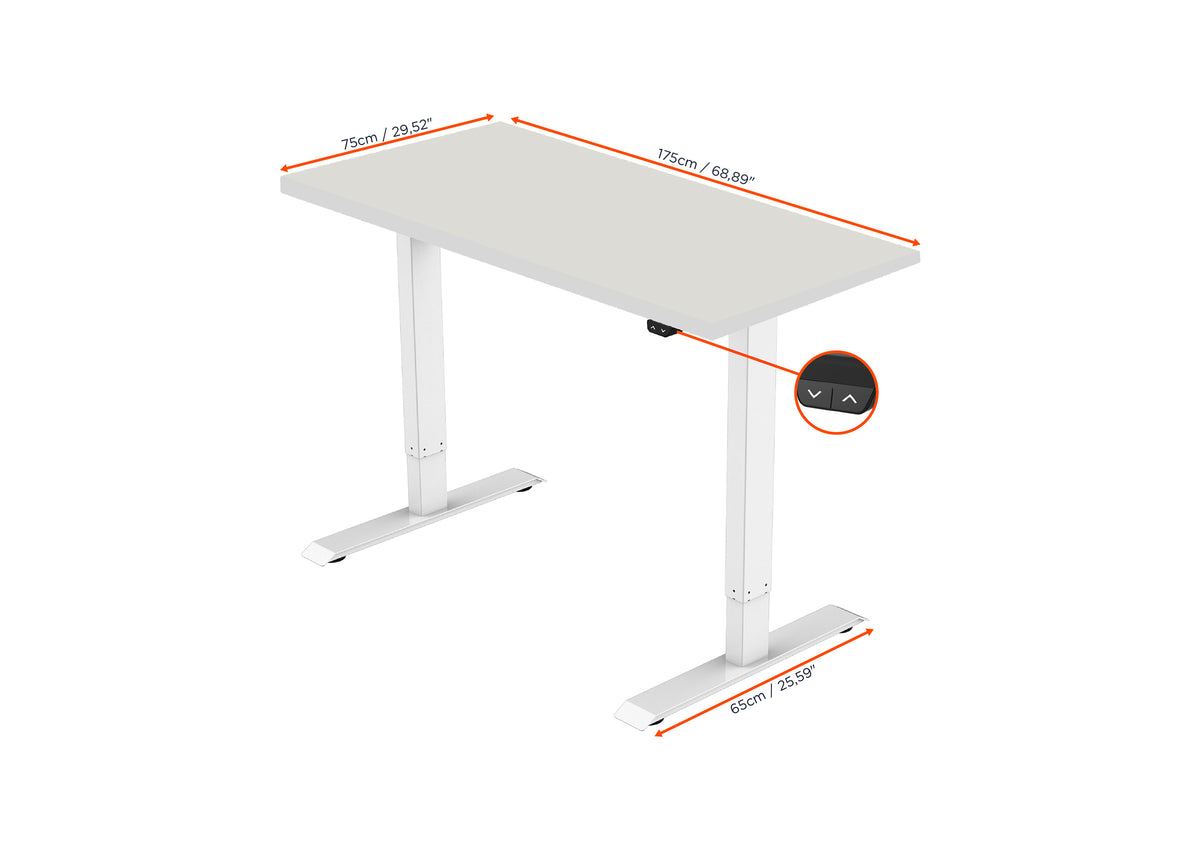 celexon elektrisch höhenverstellbarer Schreibtisch Economy eAdjust-71121 - inkl. Tischplatte