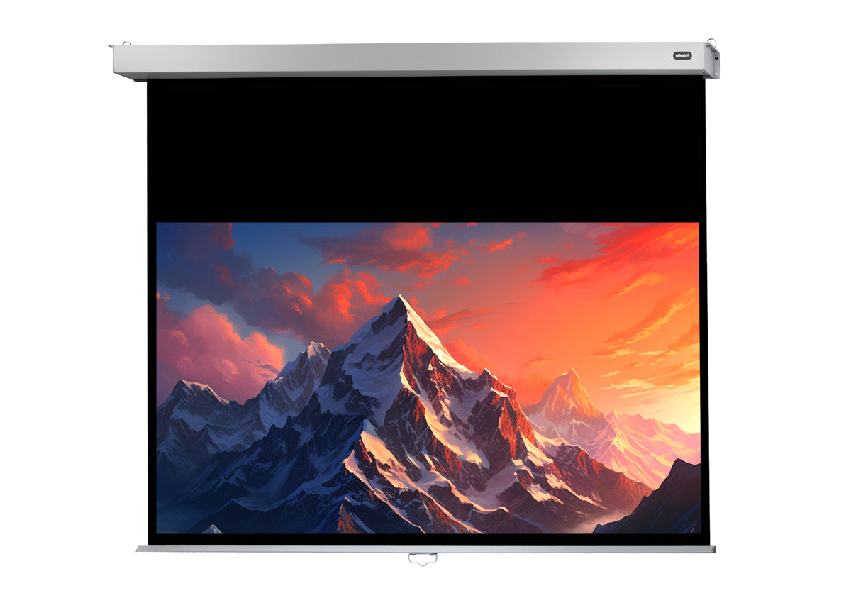 Frontal view of the celexon Projector screen Manual Professional Plus with a projection showing a Icy mountain landscape