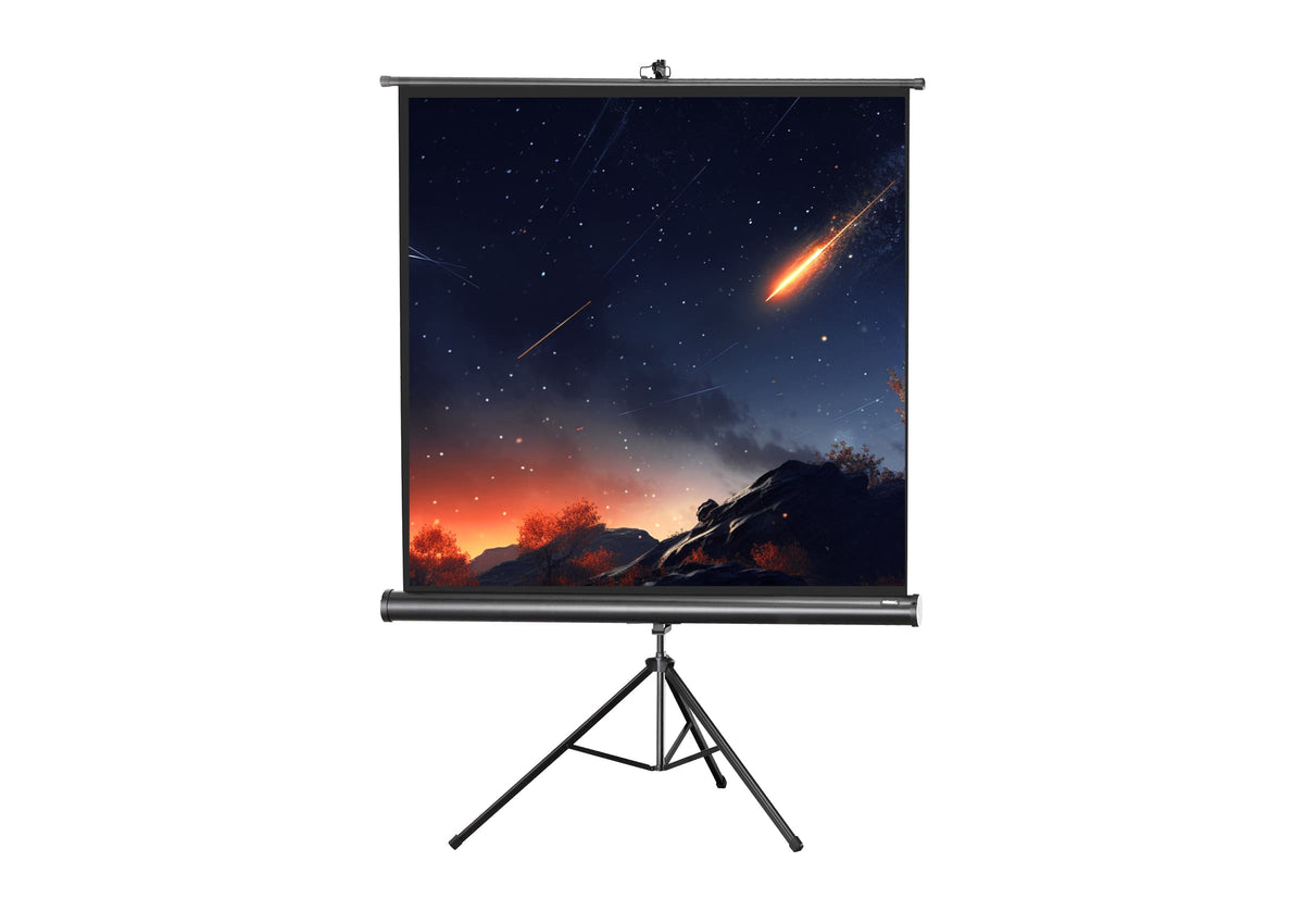 celexon Stativleinwand Economy