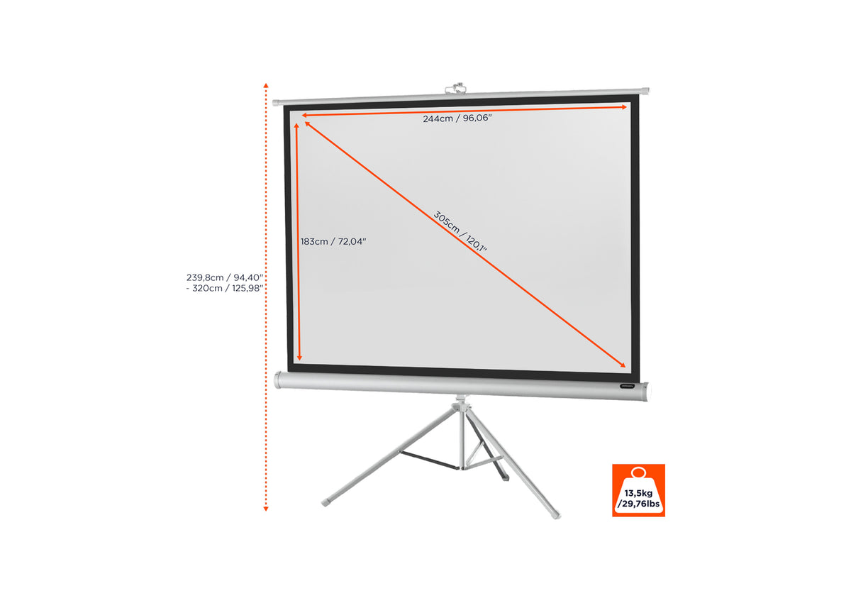 Front view of the celexon Tripod Economy Projector Screen – White Edition without projection, with the screen dimensions indicated