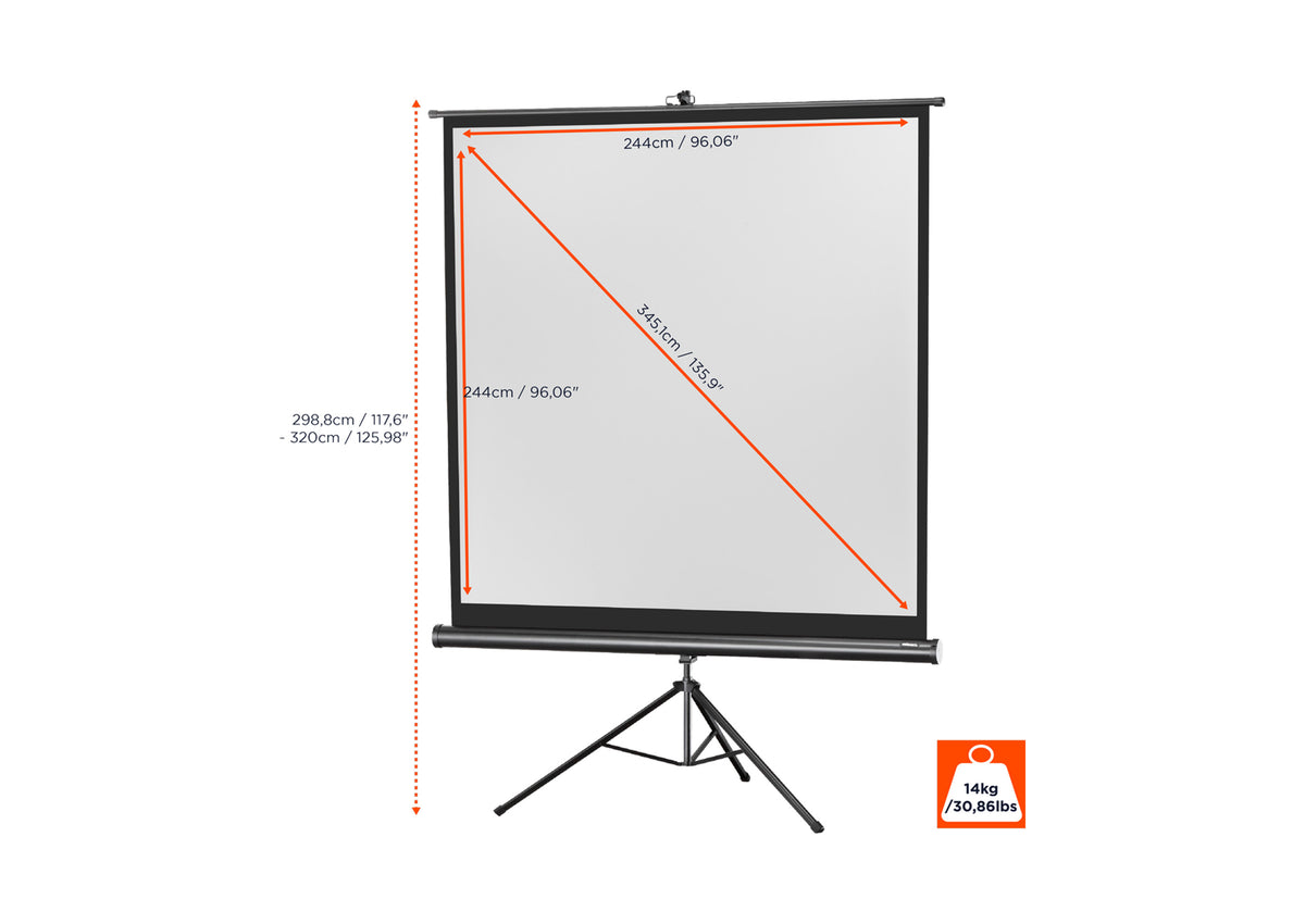 Front view of the celexon Tripod Economy Projector Screen without projection, with the screen dimensions indicated