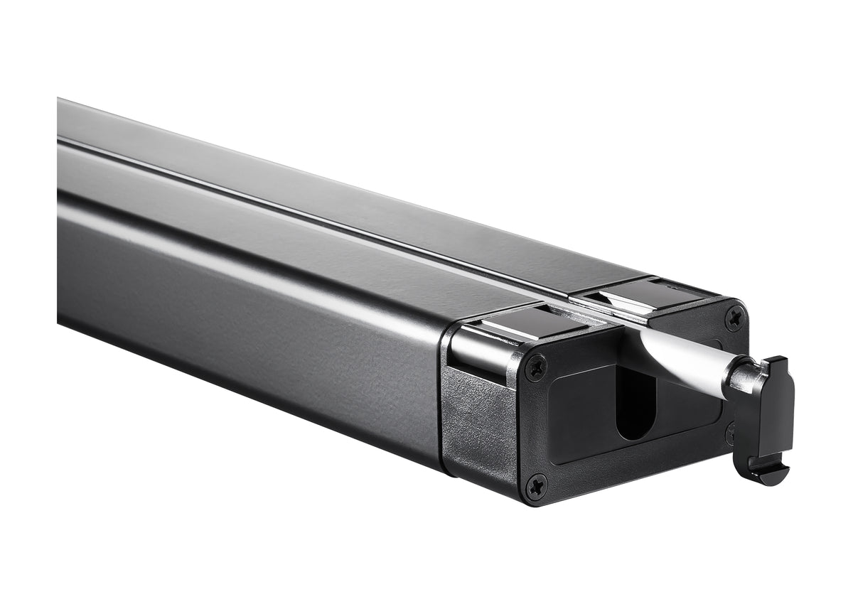 celexon Tischleinwand Professional Mini Screen