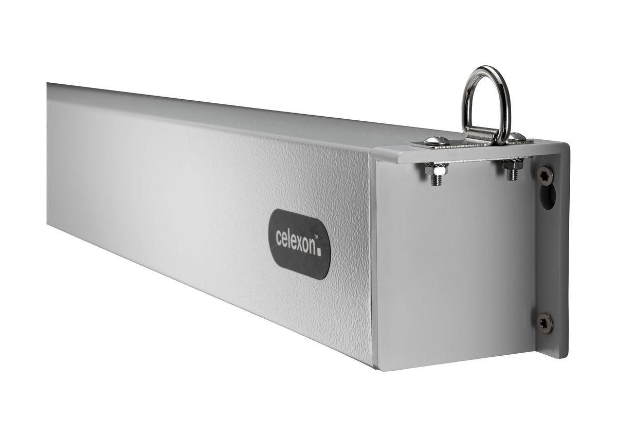 celexon Leinwand Motor Professional Plus