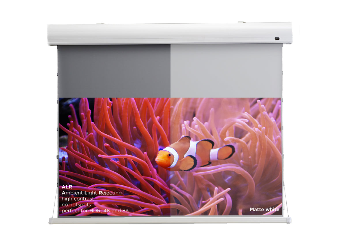 celexon HomeCinema Hochkontrastleinwand Tension - Dynamic Slate ALR