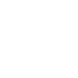 Icon Cardboard