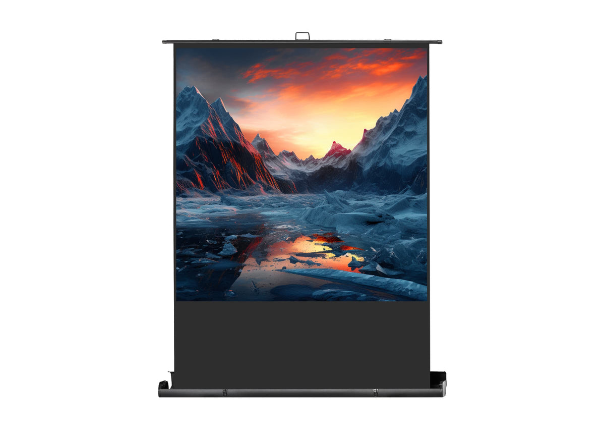 celexon Leinwand Ultramobil Professional Plus