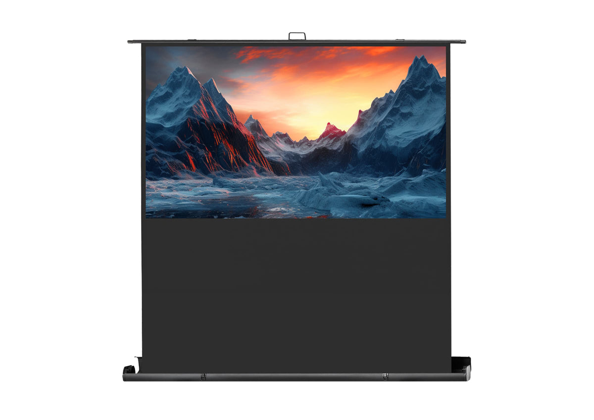 celexon Leinwand Ultramobil Professional Plus