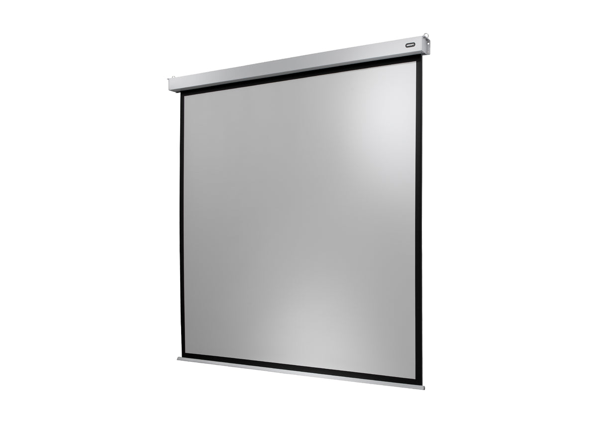 celexon Leinwand Motor Professional Plus