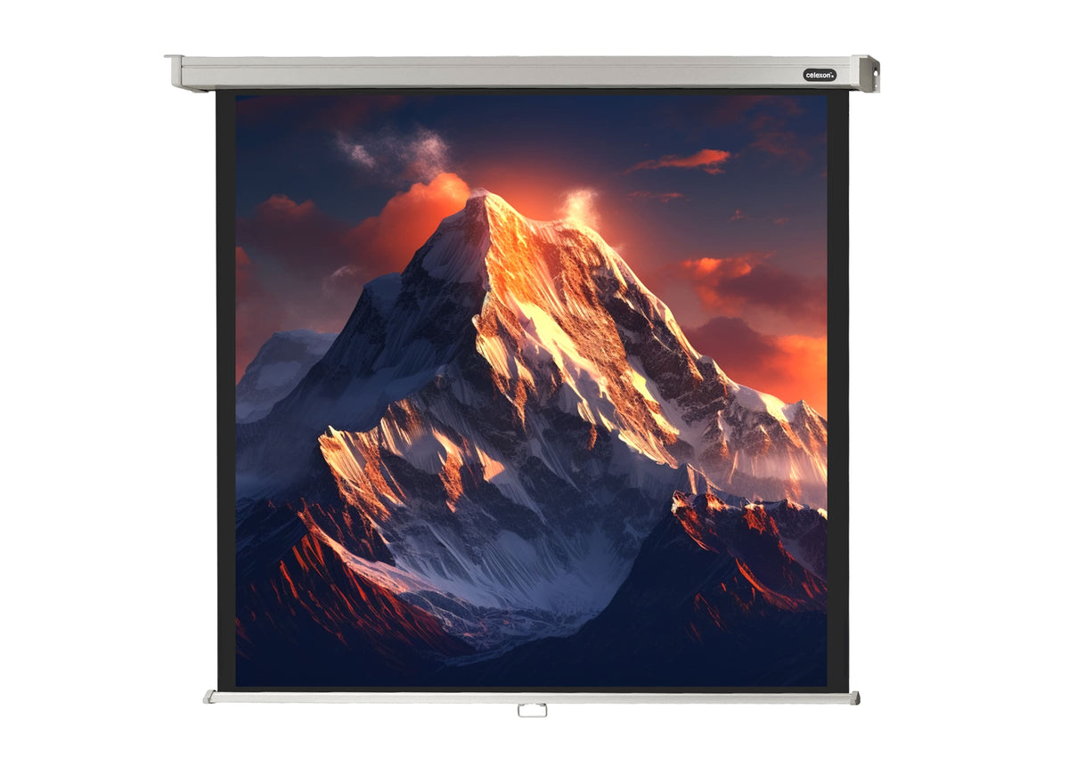 Frontal view of the celexon Projector screen Manual Professional with a projection showing a Icy mountain landscape