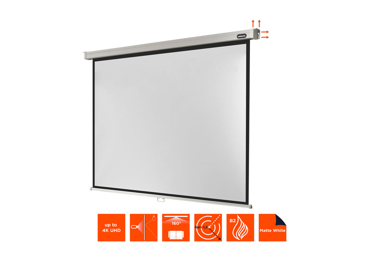 Frontal angled view of the celexon Projector screen Manual Professional without projection, but with technical specs shown as orange icons