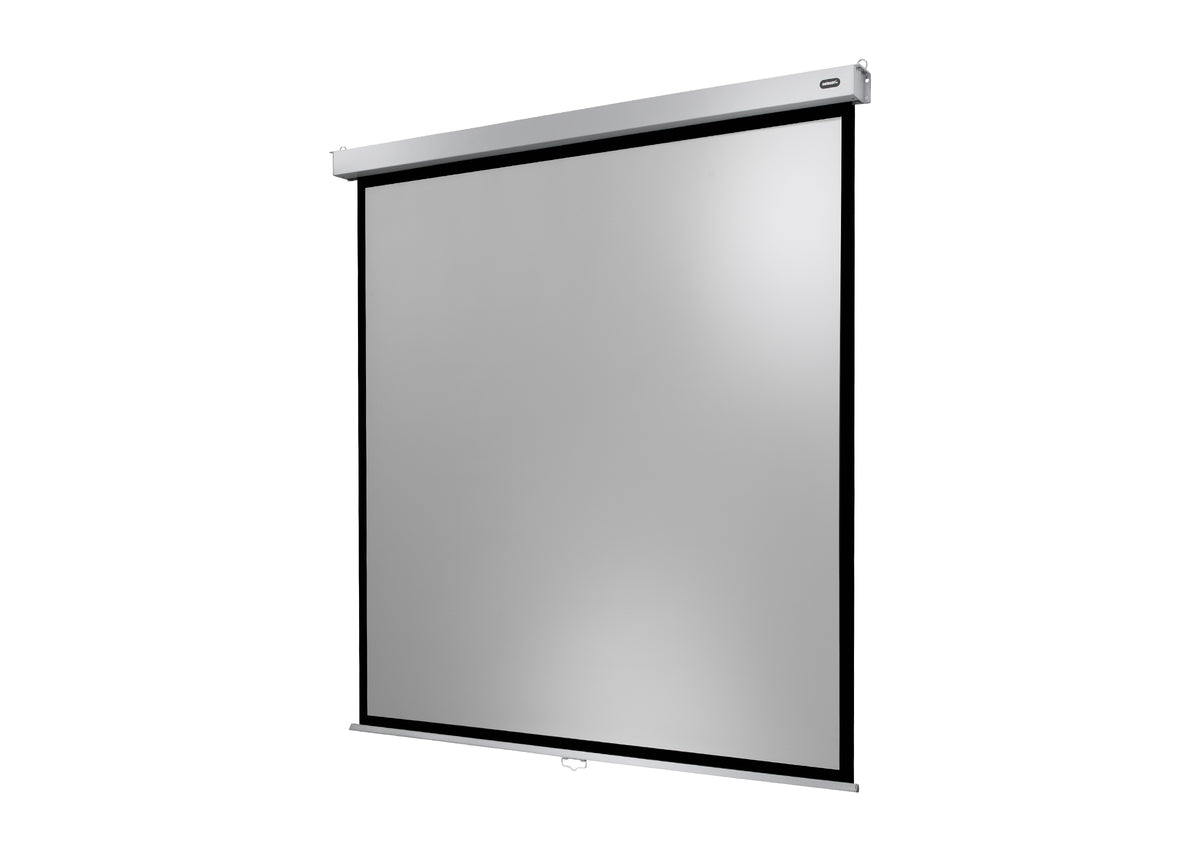 Frontal angled view of the celexon Projector screen Manual Professional Plus without projection 