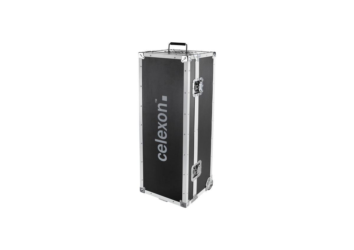 celexon Folding Frame Projector screen Transport case 