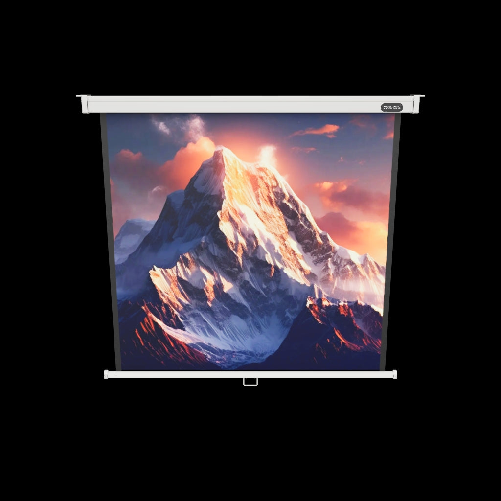 3d/AR Model of the celexon Projector Screen Manual Professional 120x120 cm