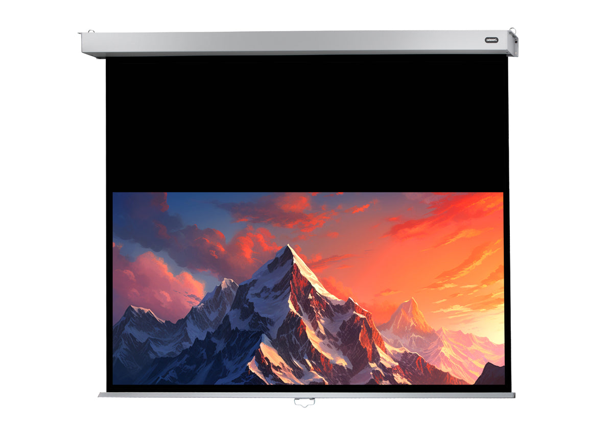 Frontal view of the celexon Projector screen Manual Professional Plus with a projection showing a Icy mountain landscape