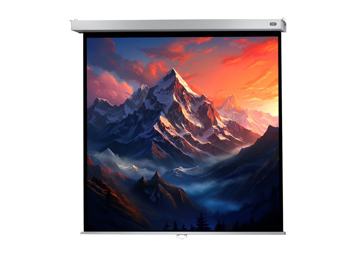 Frontal view of the celexon Projector screen Manual Professional Plus with a projection showing a Icy mountain landscape