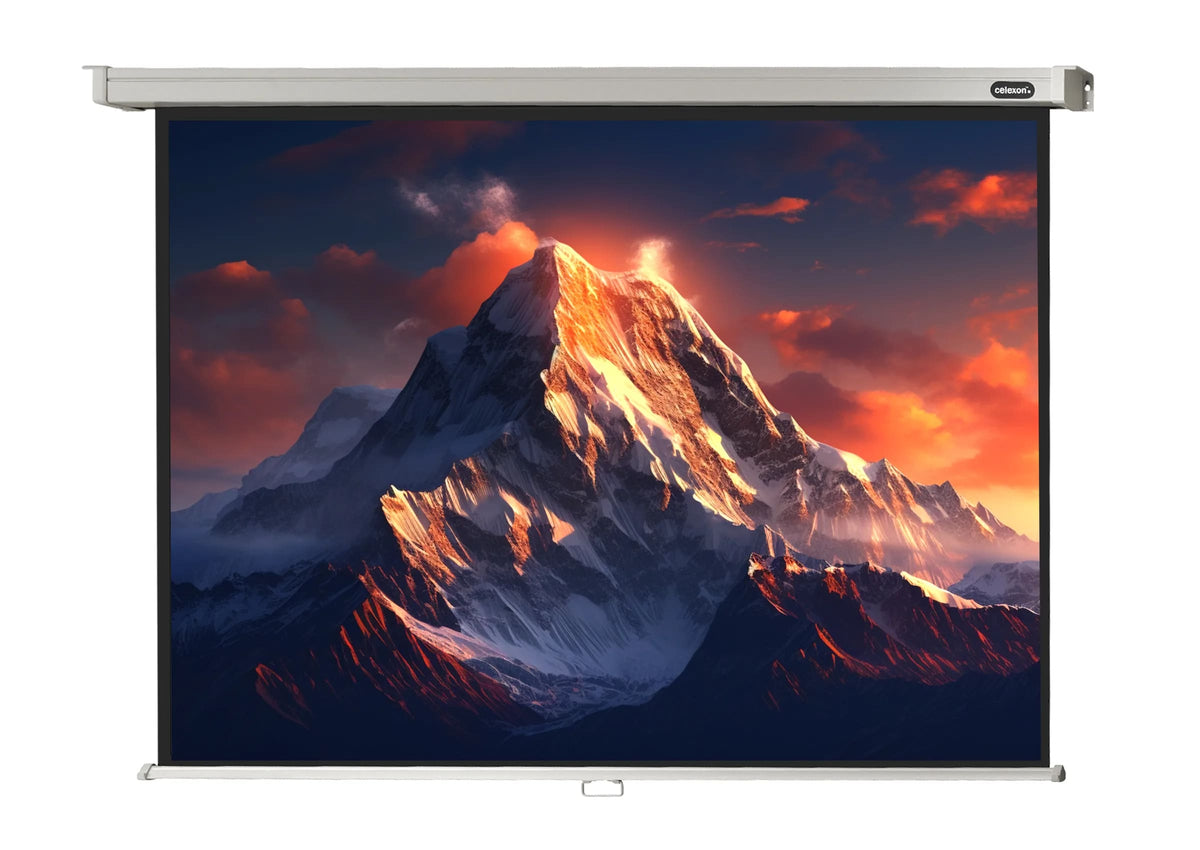Frontal view of the celexon Projector screen Manual Professional with a projection showing a Icy mountain landscape