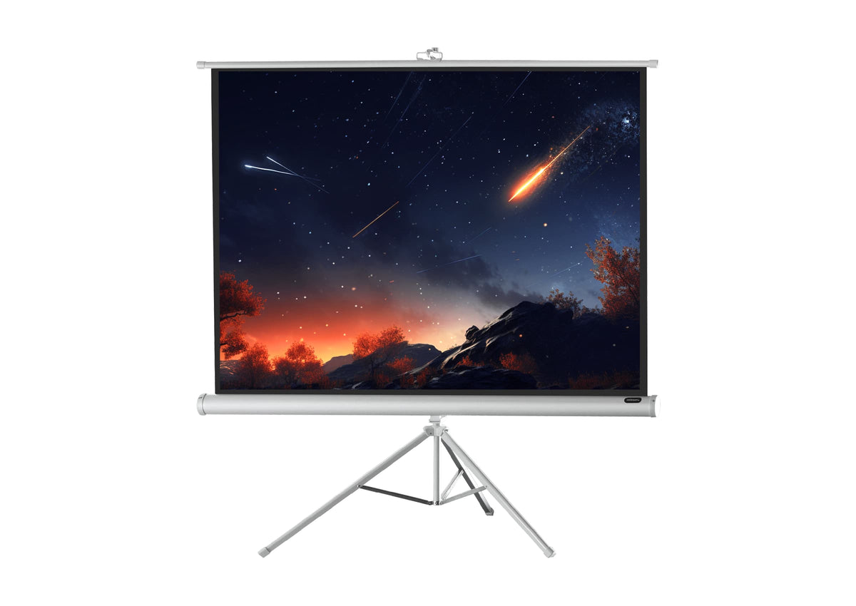 celexon Stativleinwand Economy - White Edition