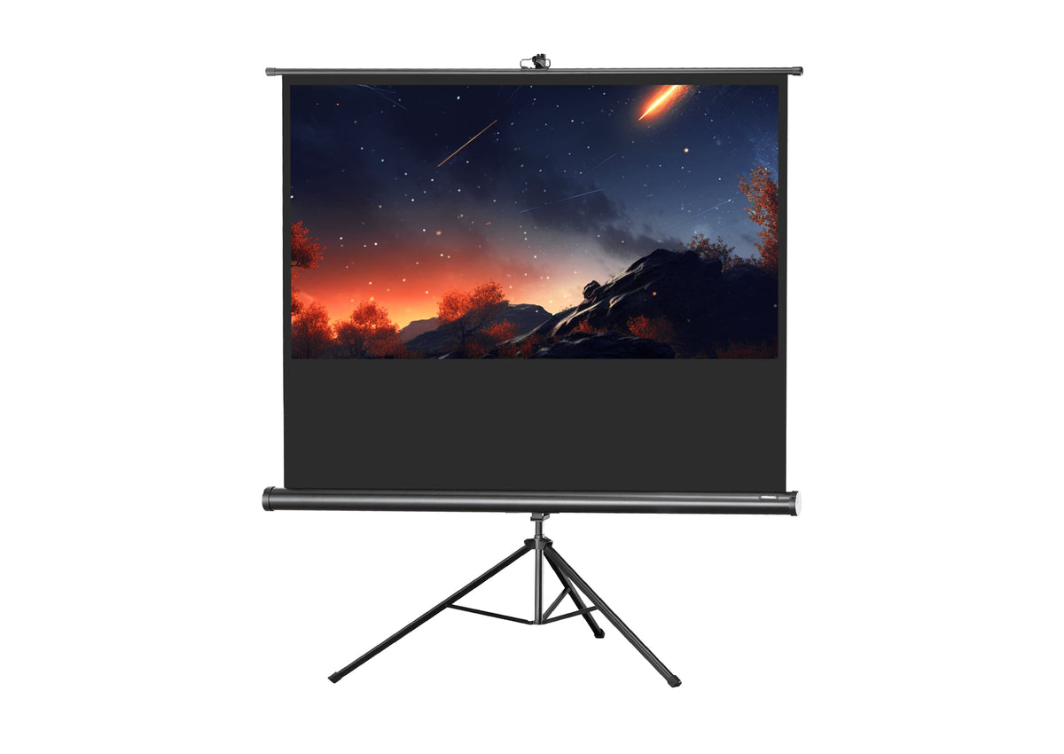 celexon Stativleinwand Economy