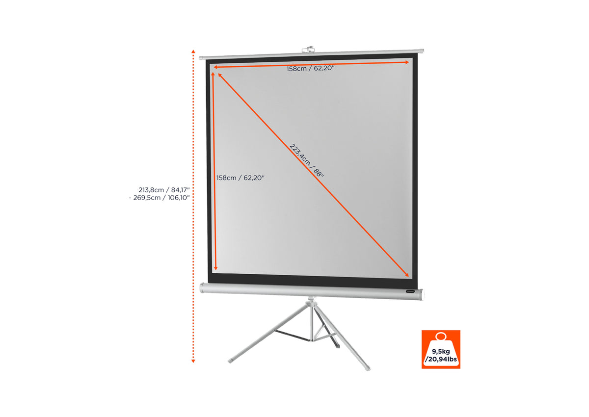 Front view of the celexon Tripod Economy Projector Screen – White Edition without projection, with the screen dimensions indicated