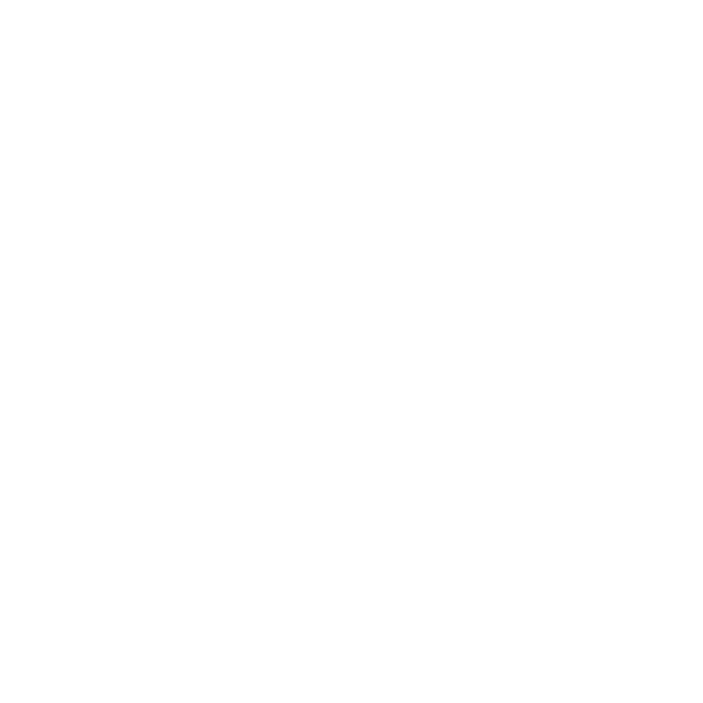 Icon of a Magnifying glass with a plus sign